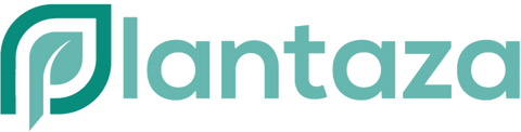 Plantaza
