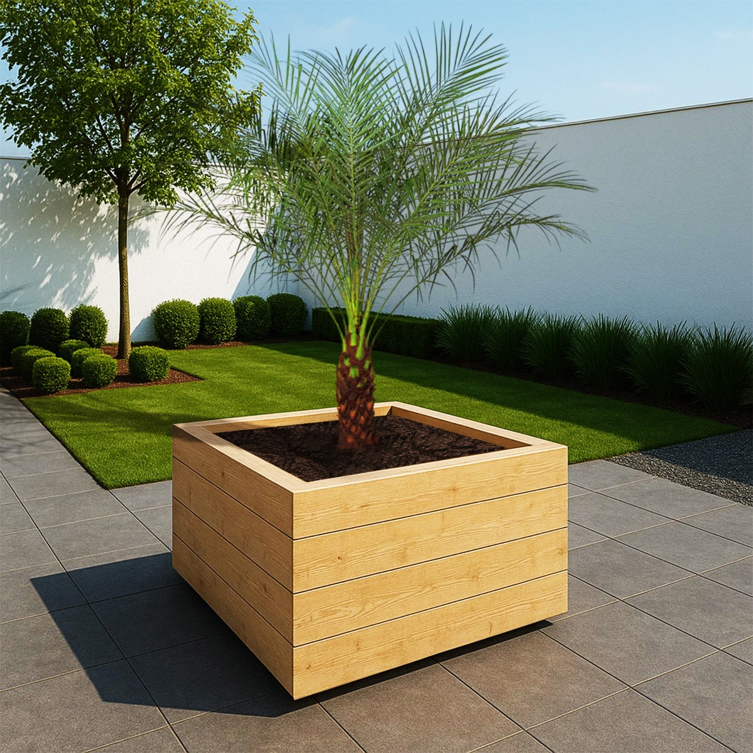 Phoenix Roebelenii ↕ 160 cm hoog  ⟷ 27 cm pot